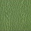 US 529 Olive Green